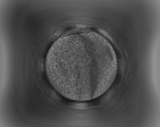 X0000086030313200704131918