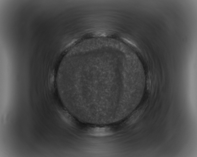 X0000086030314200704131918