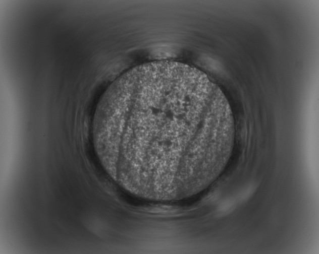 X0000086030315200704131918