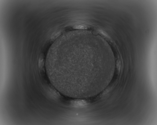 X0000086030322200704131918