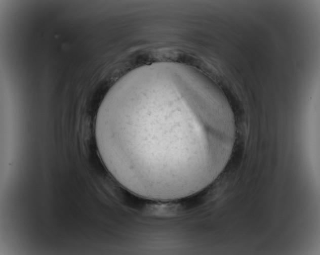 X0000086030323200704131918