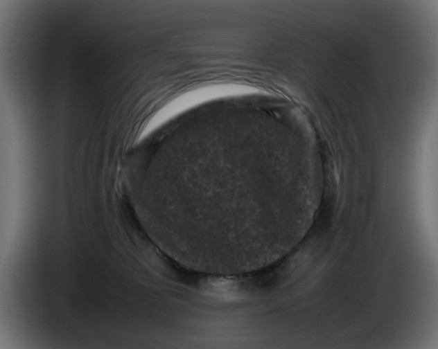 X0000086030325200704131918