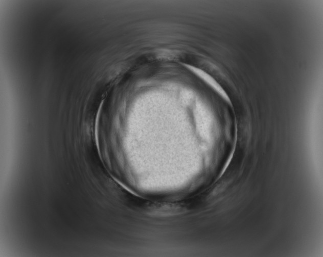 X0000086030329200704131918