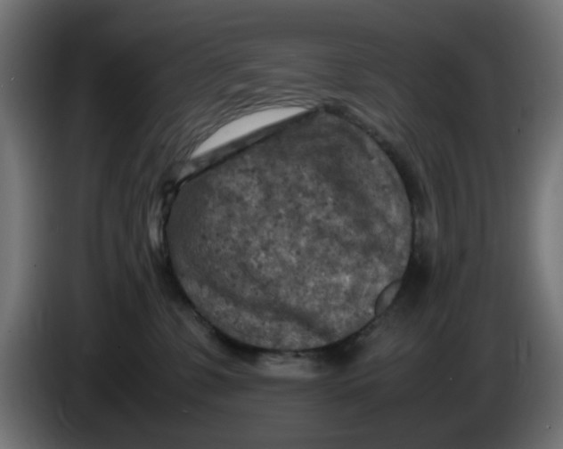 X0000086030331200704131918