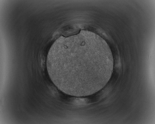 X0000086030332200704131918