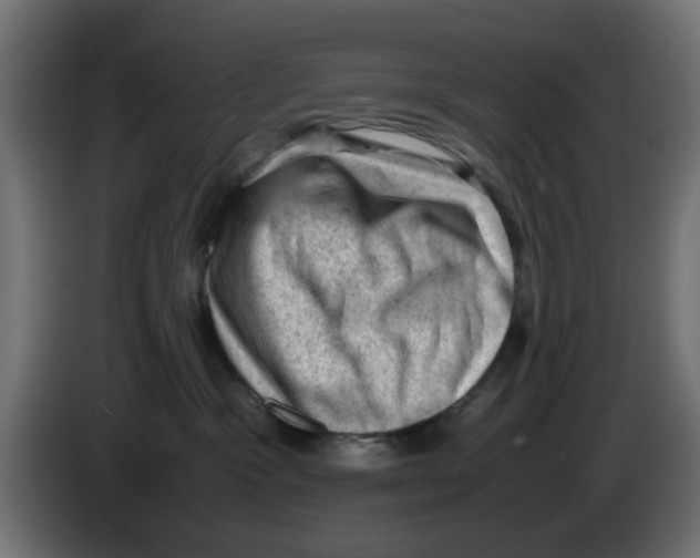 X0000086030333200704131918