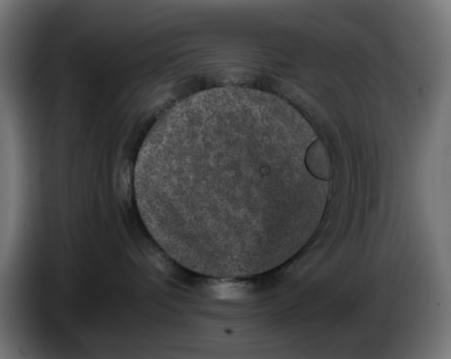 X0000086030336200704131918