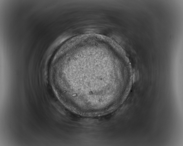 X0000086030339200704131917