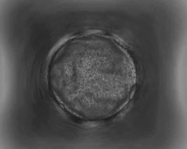 X0000086030341200704131917