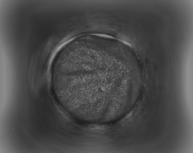 X0000086030343200704131917