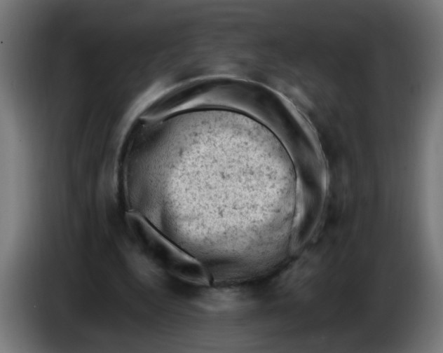 X0000086030344200704131917