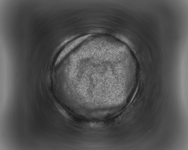 X0000086030345200704131917