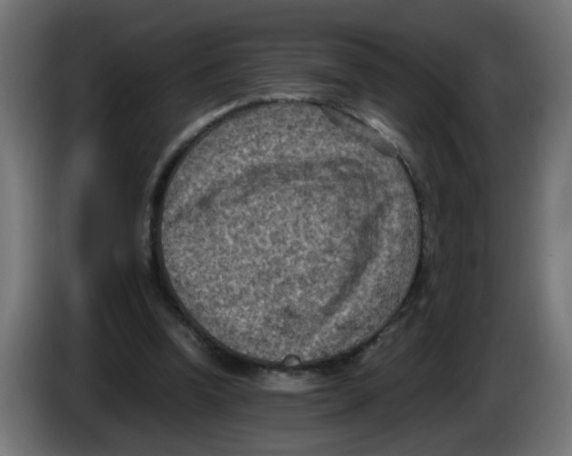 X0000086030346200704131917