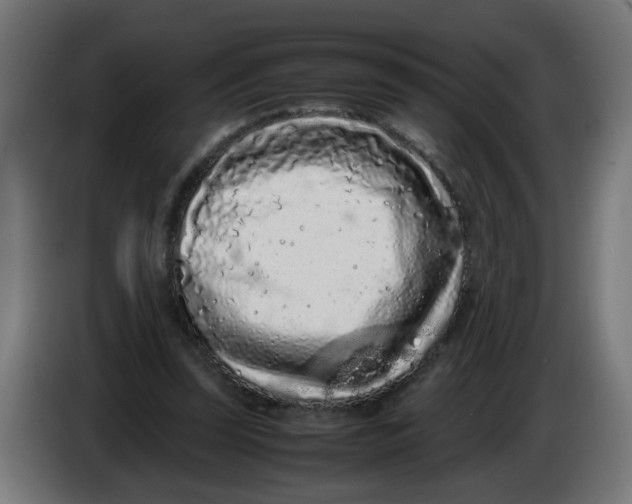 X0000086030347200704131917