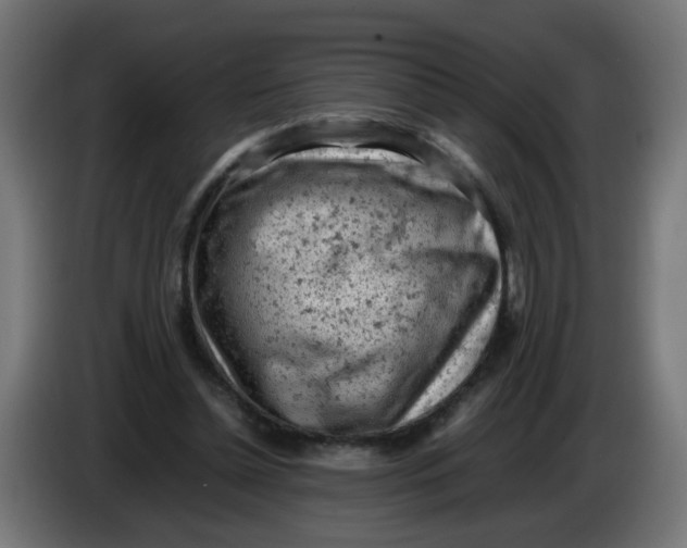 X0000086030348200704131917