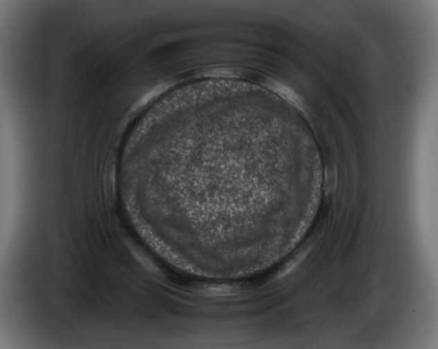 X0000086030349200704131917