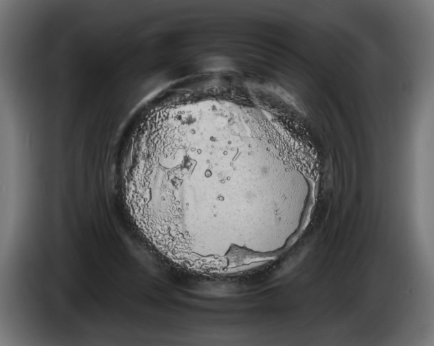 X0000086030351200704131917