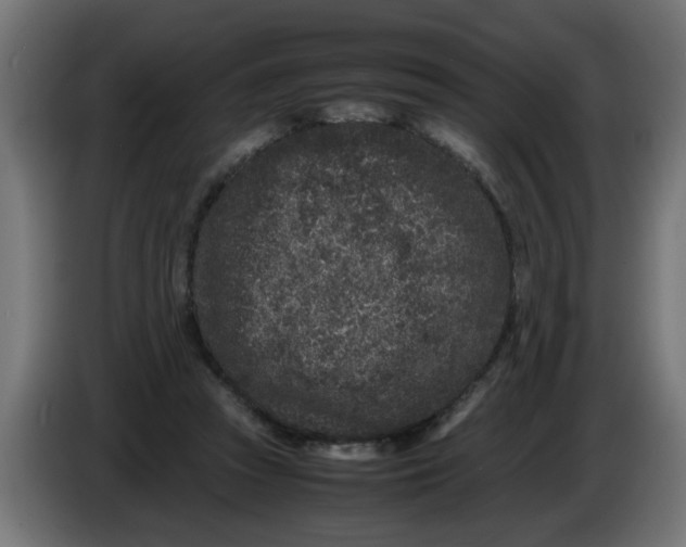 X0000086030353200704131917