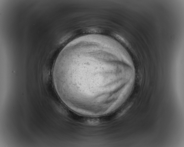 X0000086030355200704131917