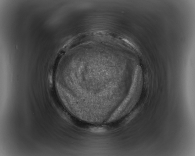 X0000086030358200704131917