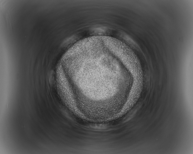 X0000086030361200704131917