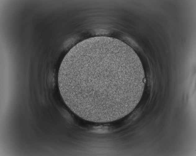 X0000086030362200704131917