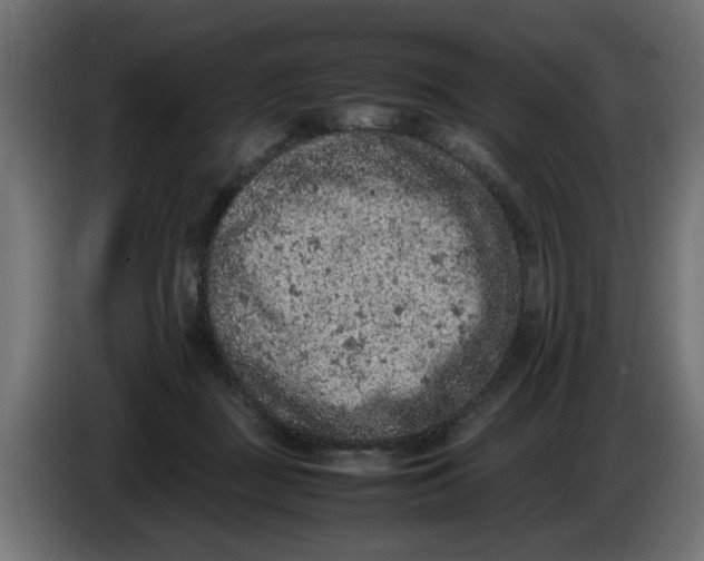 X0000086030363200704131917