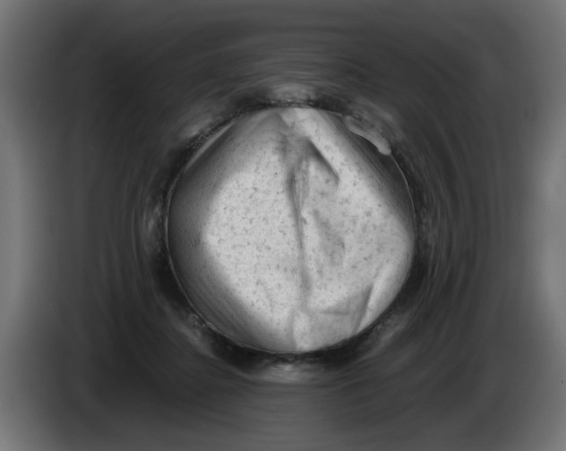 X0000086030364200704131918