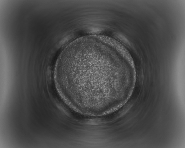 X0000086030366200704131918