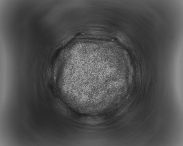 X0000086030367200704131918