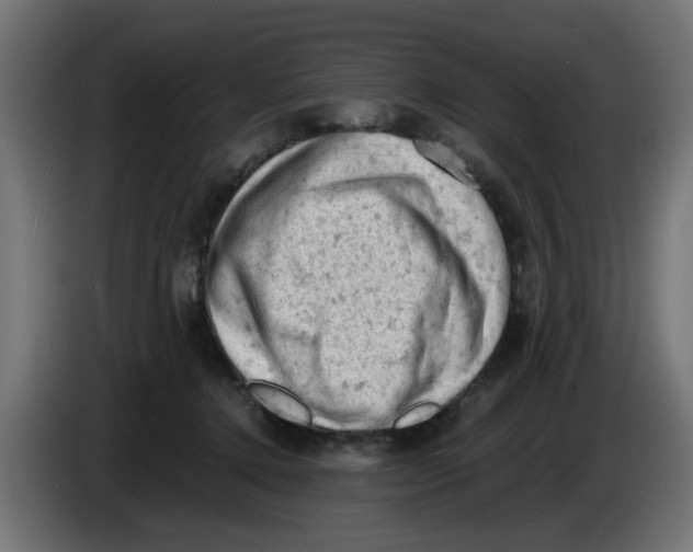 X0000086030368200704131918