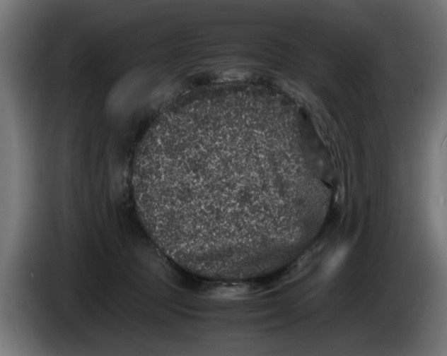 X0000086030369200704131918