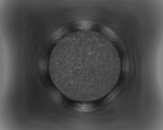 X0000086030370200704131918