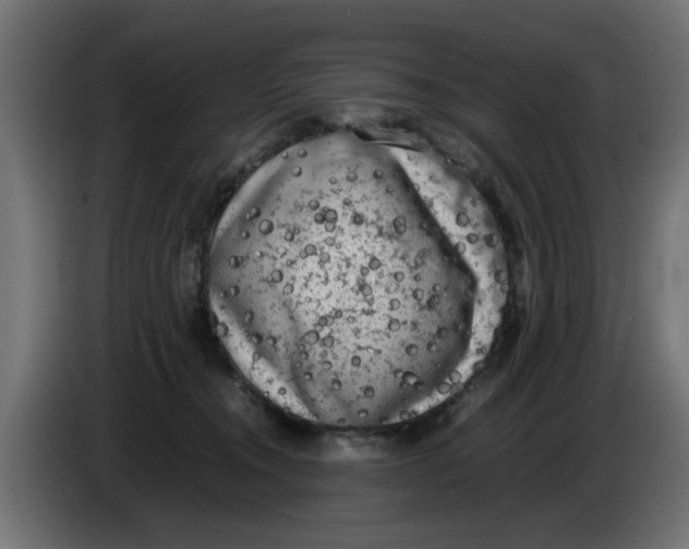 X0000086030372200704131918