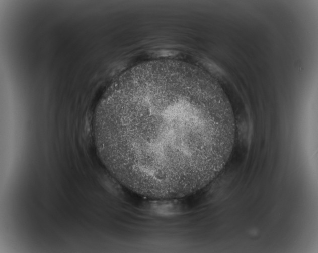 X0000086030373200704131918