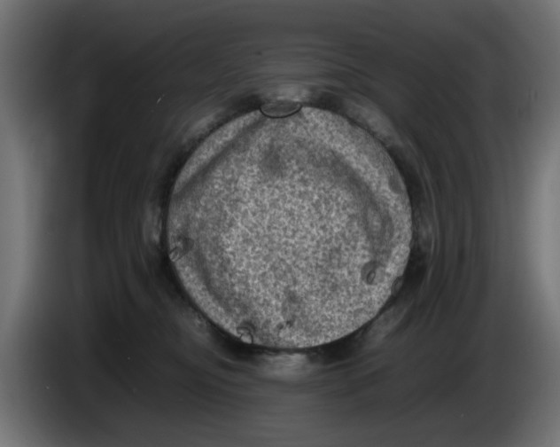 X0000086030374200704131918