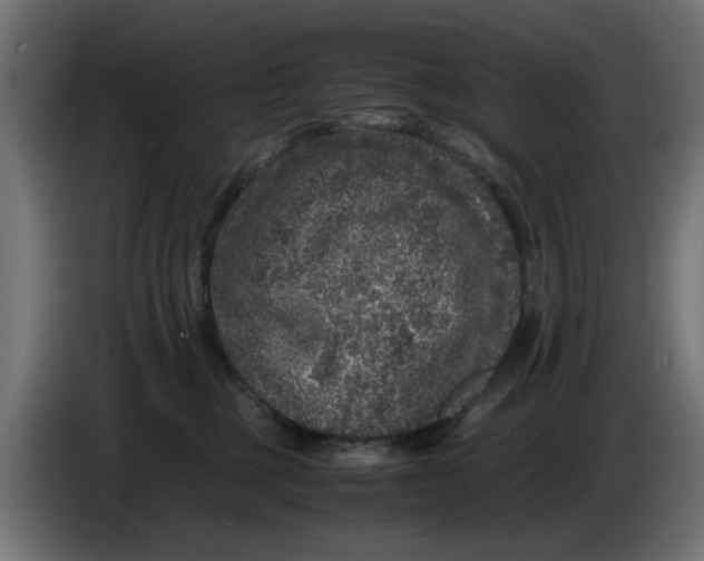 X0000086030377200704131918