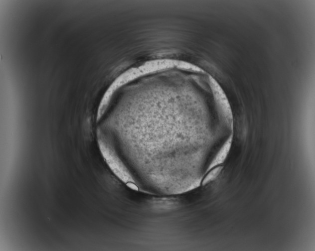 X0000086030378200704131918