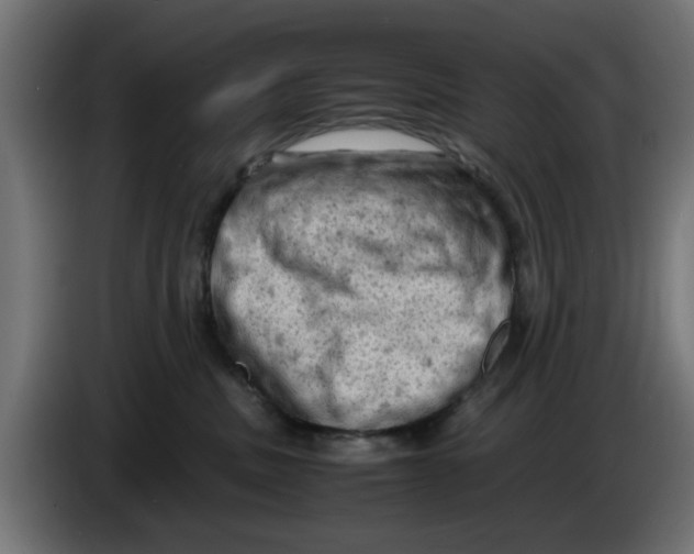 X0000086030379200704131918