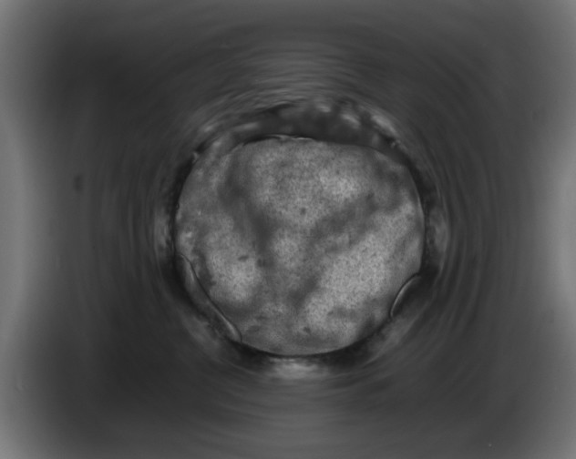 X0000086030380200704131918