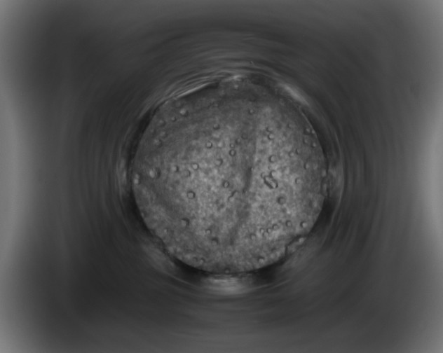 X0000086030381200704131918