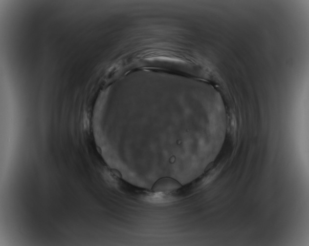 X0000086030382200704131918