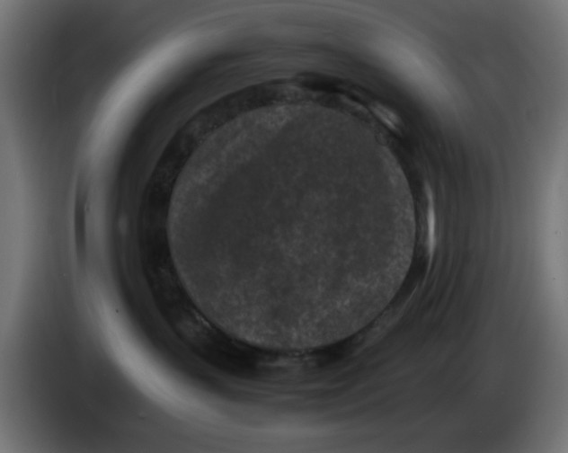 X0000086030383200704131918