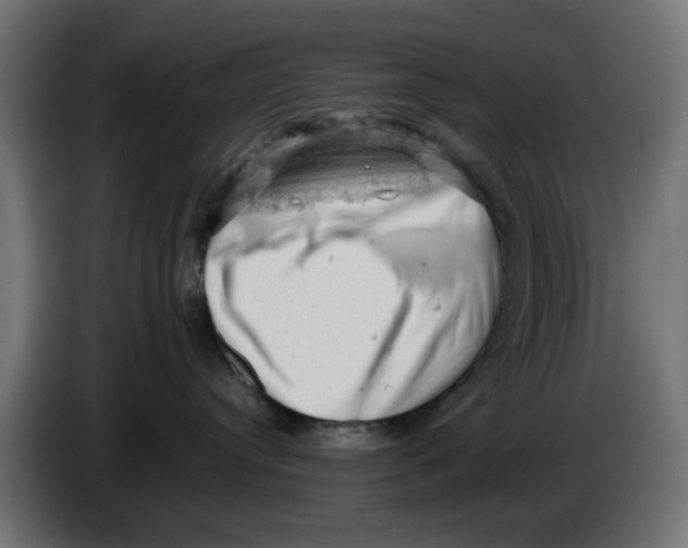 X0000086030384200704131918