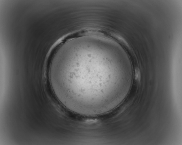 X0000086030388200704131917