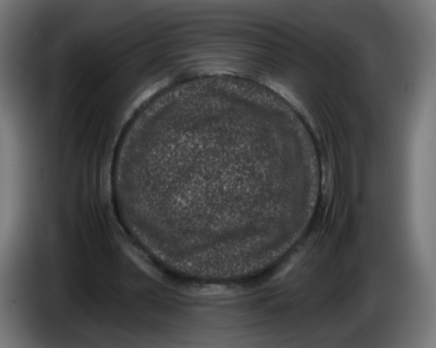 X0000086030390200704131917