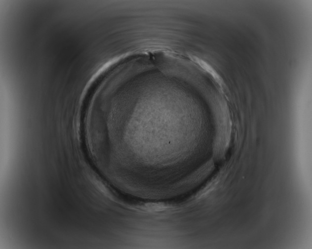 X0000086030391200704131917