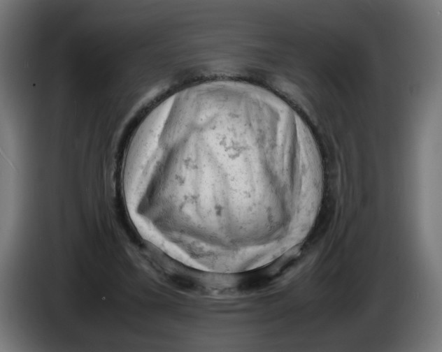 X0000086030395200704131917