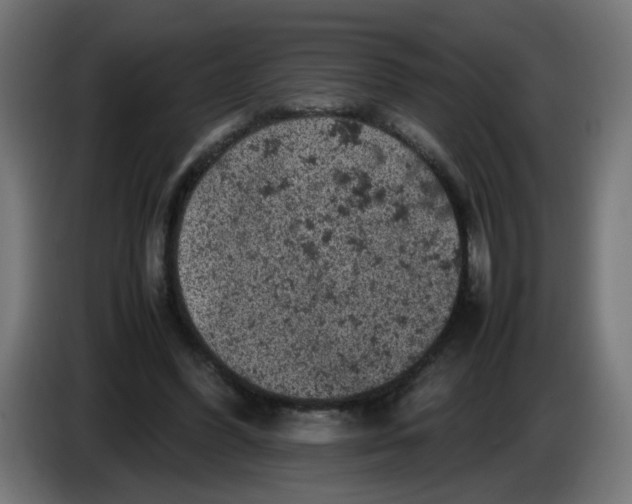 X0000086030396200704131917