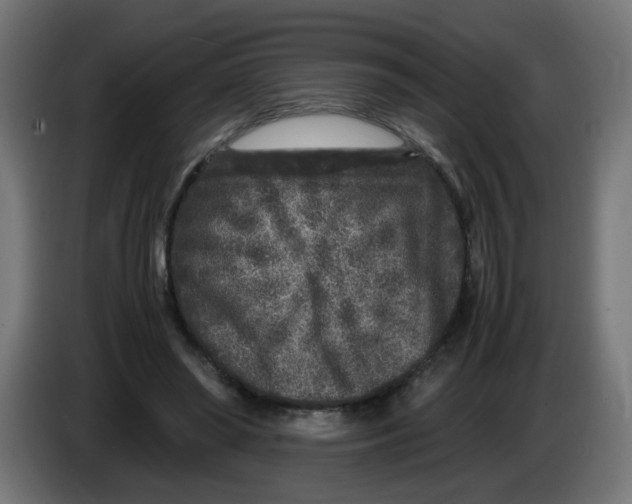 X0000086030398200704131917